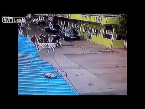 لص يختطف سلسلة من سيدة في الهند