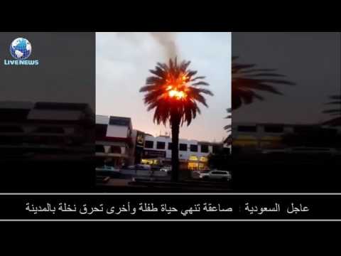 شاهد صاعقة تنهي حياة طفلة وأخرى تحرق نخلة في المدينة المنورة
