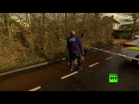 بالفيديو مصري يقتل يابانيًا طعنًا والشرطة تنفي الدافع الإرهابي