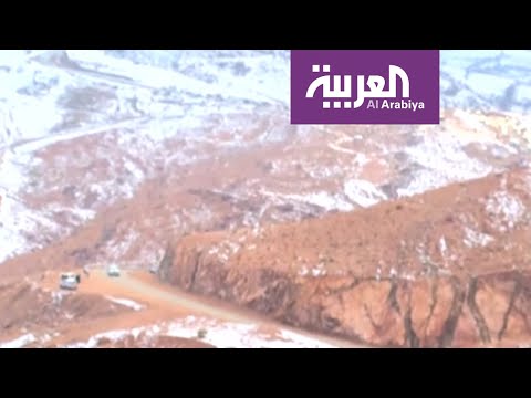 سكان تبوك وضواحيها يتجهون إلى جبل اللوز المغطى بالثلوج