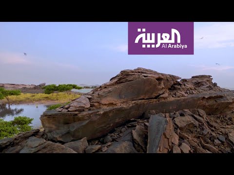 تاريخ وحقائق لنقوش أثرية منذ 8000 عام على الجزيرة العربية