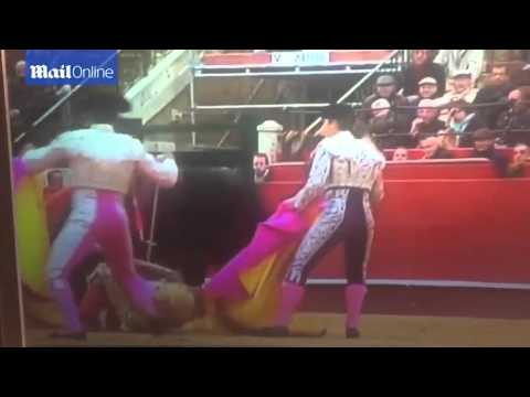 مصارع ينجو من الموت بعد مهاجمة «ثور»