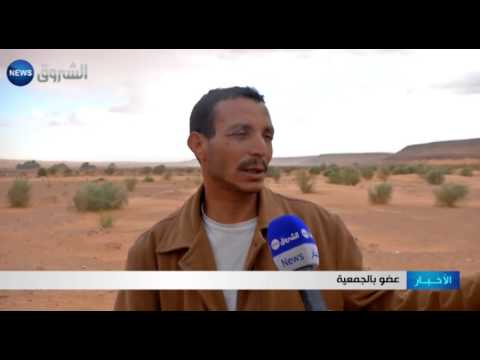 شاهد تشويه النقوش الصخرية في تاغيت ببشار