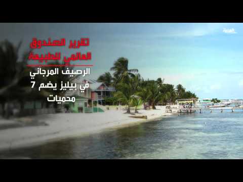 ممارسات البشر تهدد الطبيعة