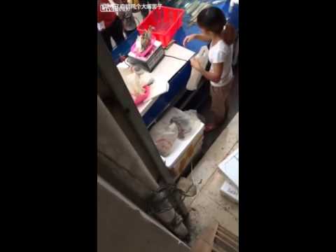 بالفيديو بائعة أسماك تغش زبونًا بطريقة ماكرة