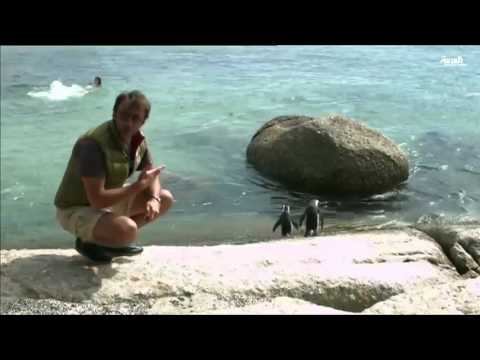 جولة في أشهر شواطئ كيب تاون