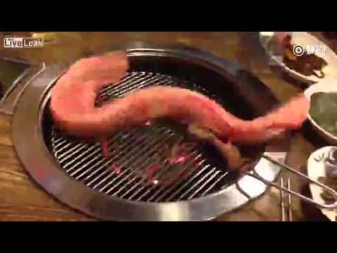 مطعم كوري يشوي ثعبان بحر حيًا أمام الزبائن